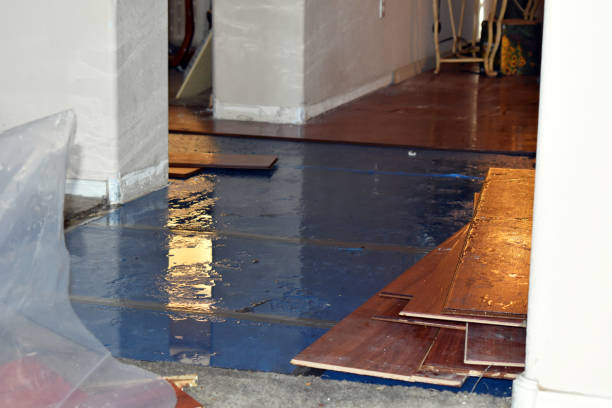 Professional Sewage Cleanup technician working in Westminster, TX